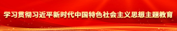 男女日逼的视频学习贯彻习近平新时代中国特色社会主义思想主题教育